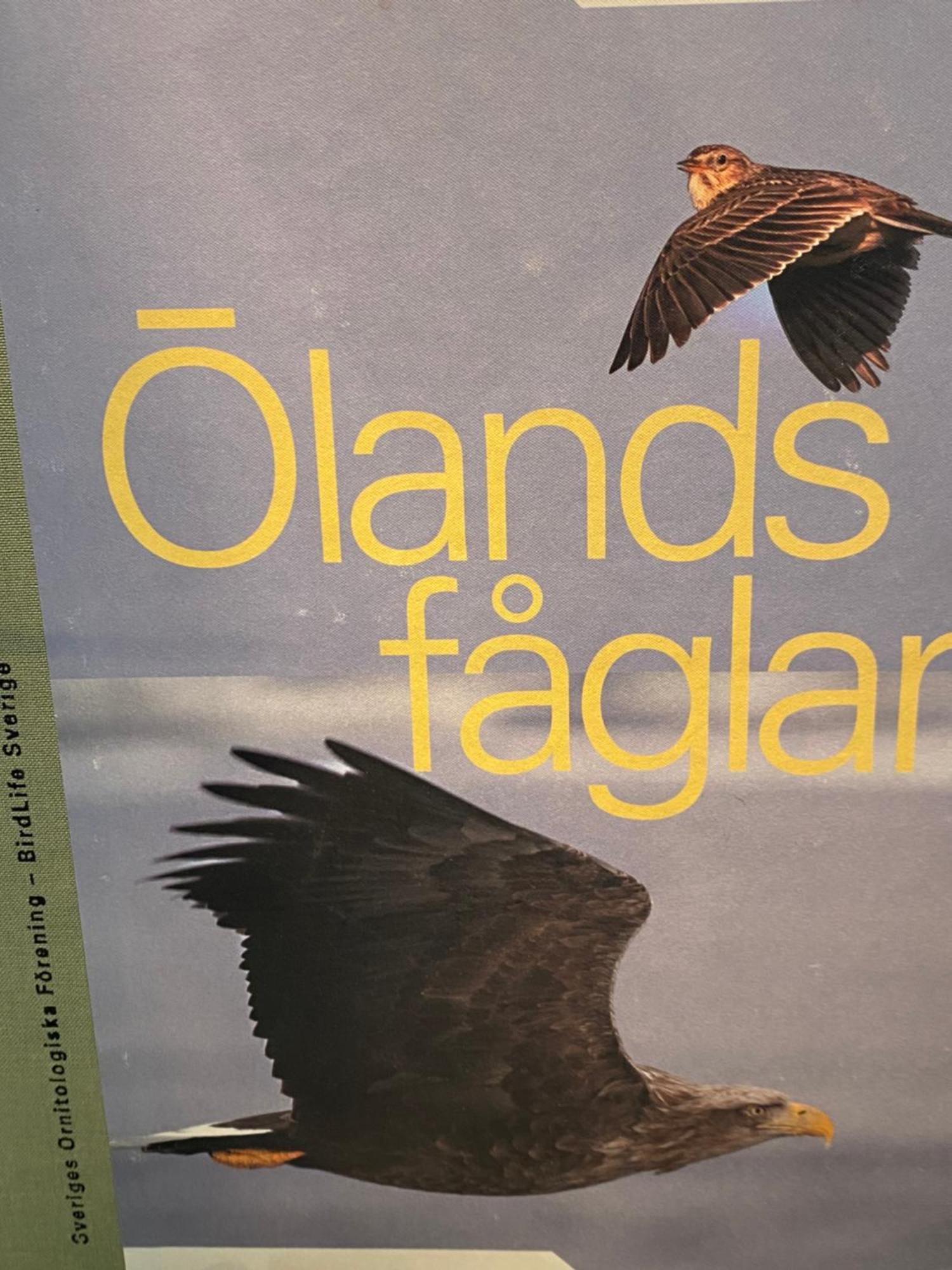 Apartmán Idyliska Boende Mitt Pa Oeland Färjestaden Exteriér fotografie